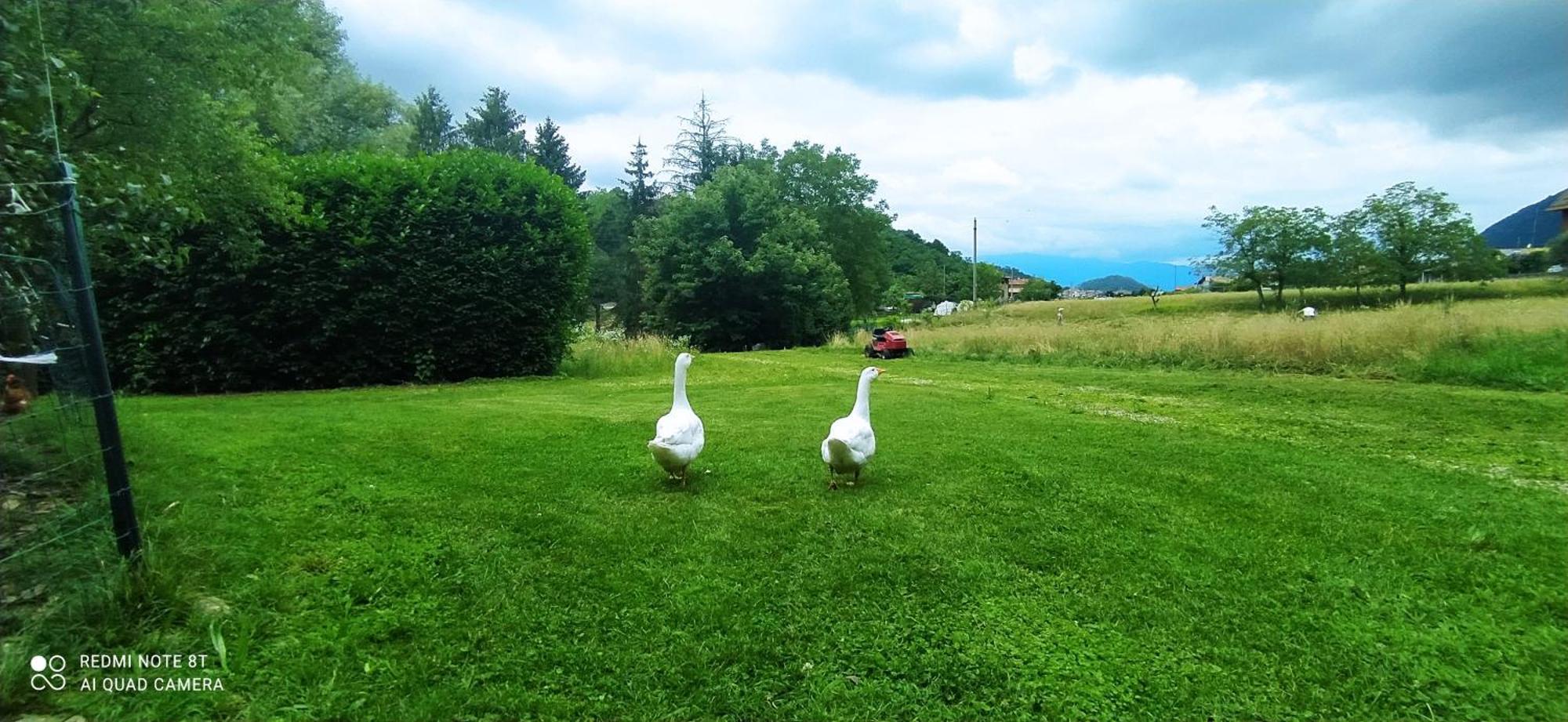 Casale Del Cantico Brenta Экстерьер фото
