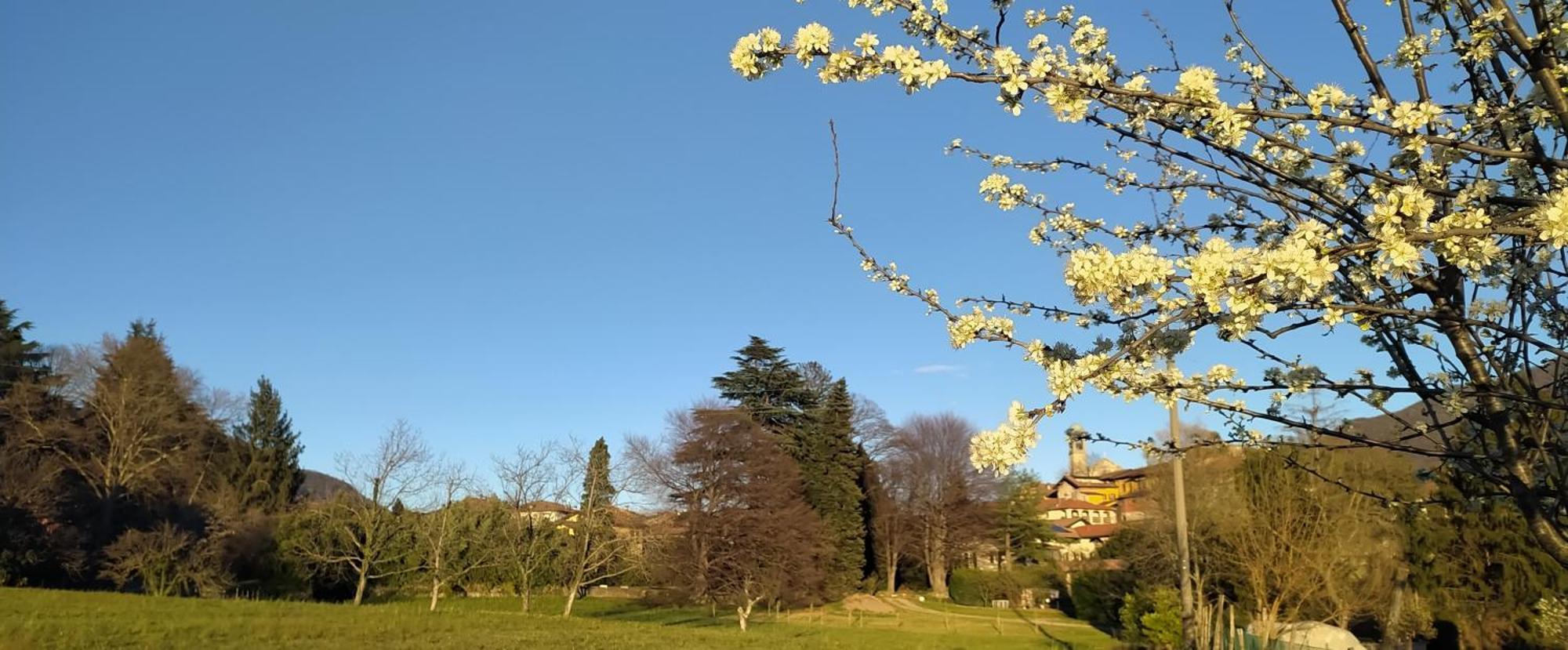Casale Del Cantico Brenta Экстерьер фото