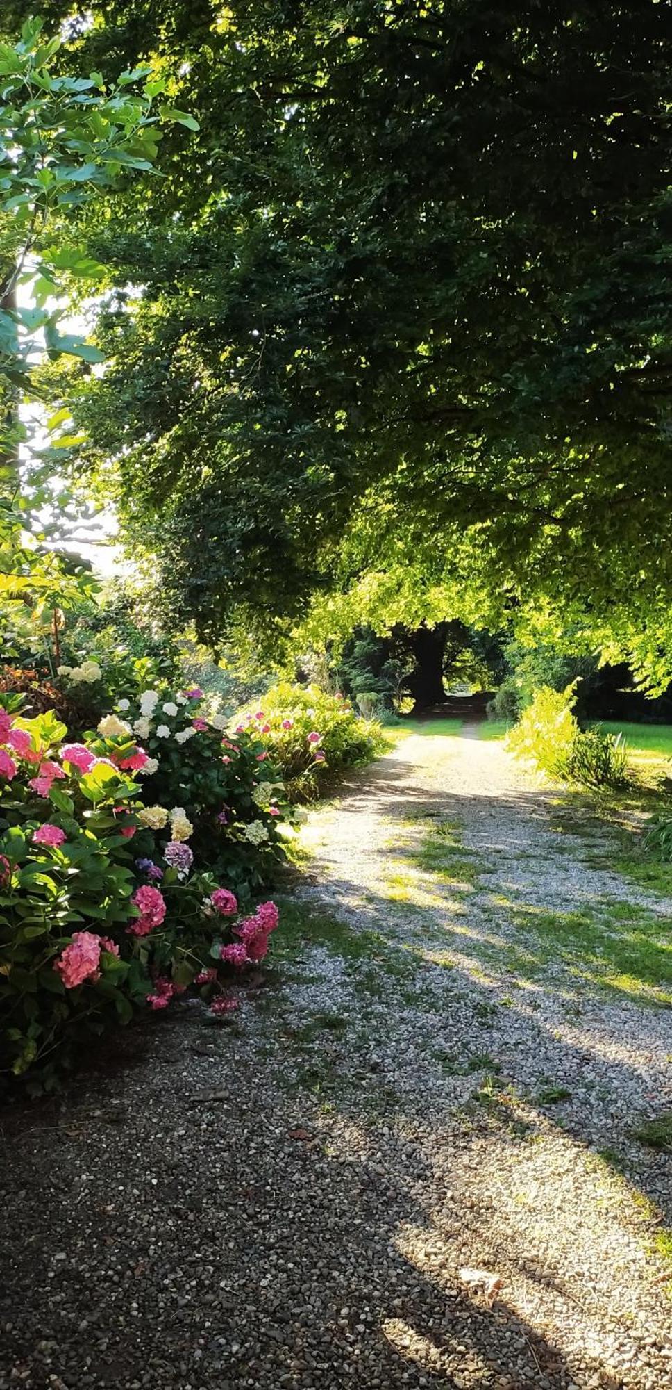 Casale Del Cantico Brenta Экстерьер фото